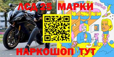 стаф Аргун