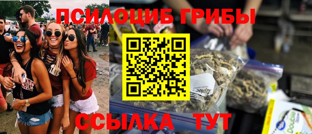 Псилоцибиновые грибы Psilocybe Верхняя Пышма
